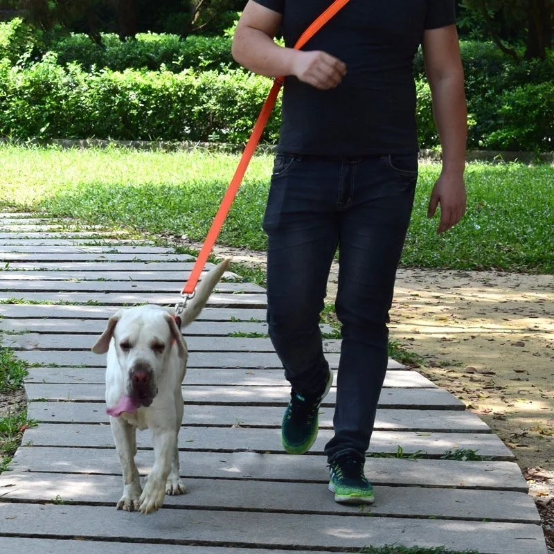 Многоцелевой регулируемый поводок свободная рука обучение питомца на поводок нейлоновый поводок для собаки для Прогулка 2 Собаки