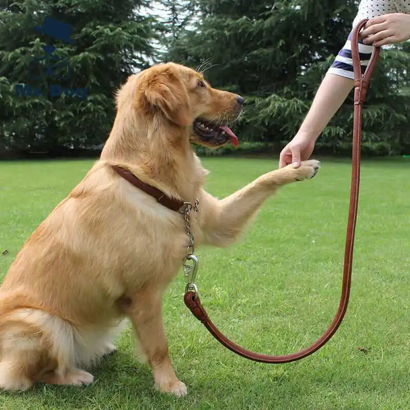 Pet шнур для поводка кожаный ошейник для большой собаки сильный поводок Тяговый канат кожаный собачий ошейник большого размера и поводок набор коричневый XL металлическая пряжка