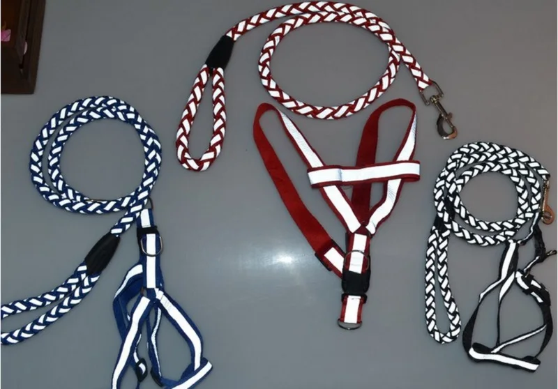 L18_New_arrival_Pet_Dog_Nylon_Adjustable_Training_Lead_Reflective_Dog_Strap_Rope_Traction_Dog_Harness_Collar_Leash (1)