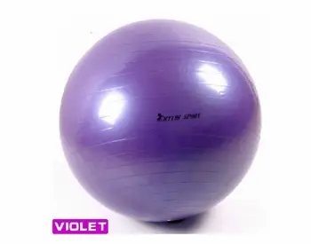 

2016 new genuine yoga balls home gym exercise Pilates equipment fitness ball pump 85cm