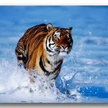 Модный коврик в гостиную тигровый синий морской 40x60 см дверной коврик на заказ домашний декоративный ковер модный коврик