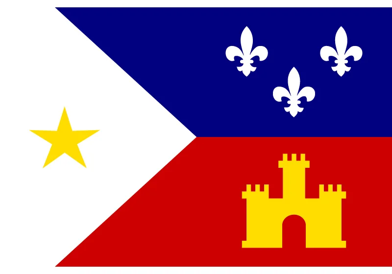 Acadiana на заказ 3x5ft высококачественный городской флаг 30*45 см Автомобильный флаг 90*150 см 60*90 см Флаг