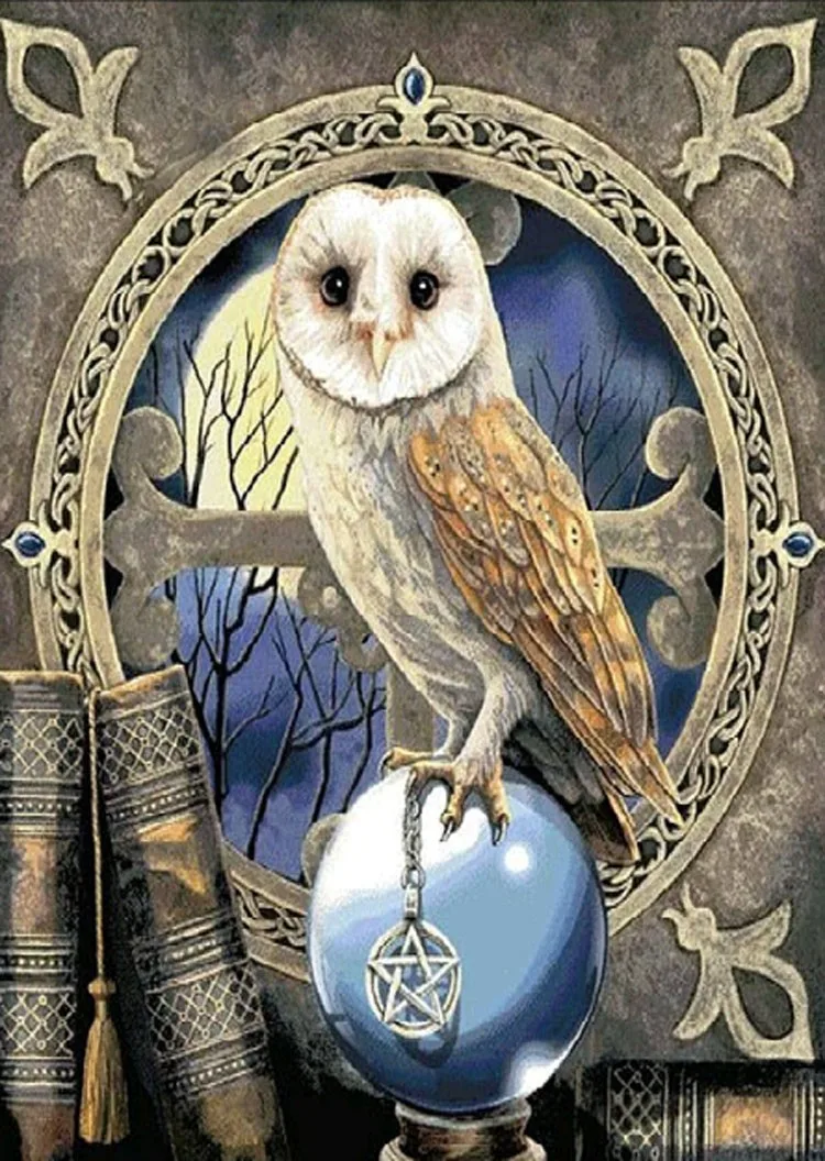 

CAMMITEVER DIY 5D Rhinestones Embroidery Diamond Painting Diamond Painting Night Owl Rhinestone Painting By Number Cross Stitch