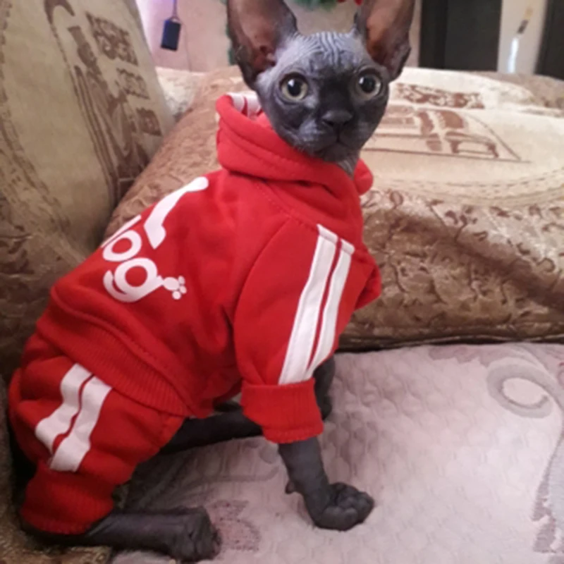 Słodki kociak sweter z kapturem zimowe ciepłe ubrania dla zwierząt dla kotów Sphynx Katten odzież strój Ropa Para gatos Kedi Giyim produkty dla zwierząt domowych 4 Słodki kociak sweter z kapturem zimowe ciepłe ubrania dla zwierząt dla kotów Sphynx Katten odzież strój Ropa Para gatos Kedi Giyim produkty dla zwierząt domowych 4