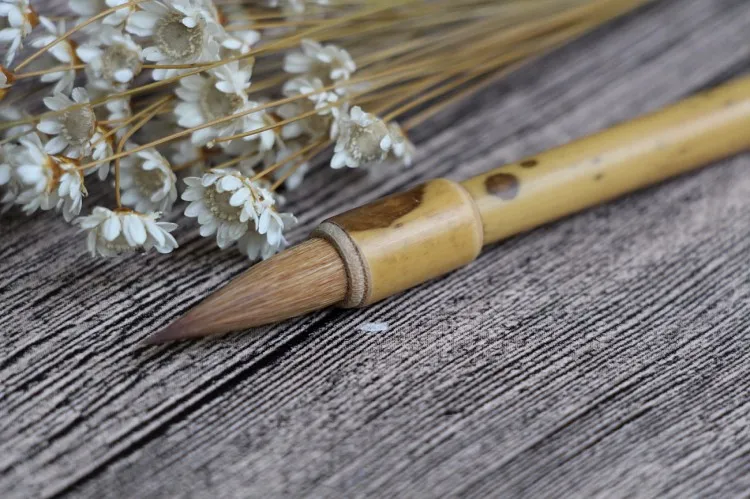 TB2uizupVXXXXXpXXXXXXXXXXXX_!!66571612