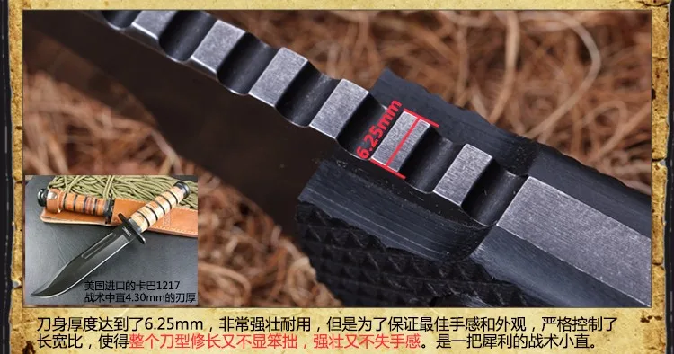 TB2B.6BbpXXXXc5XXXXXXXXXXXX_!!1110761488