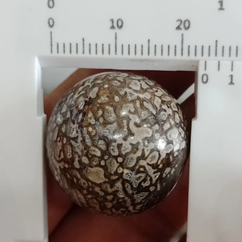 conew_img20190402113213