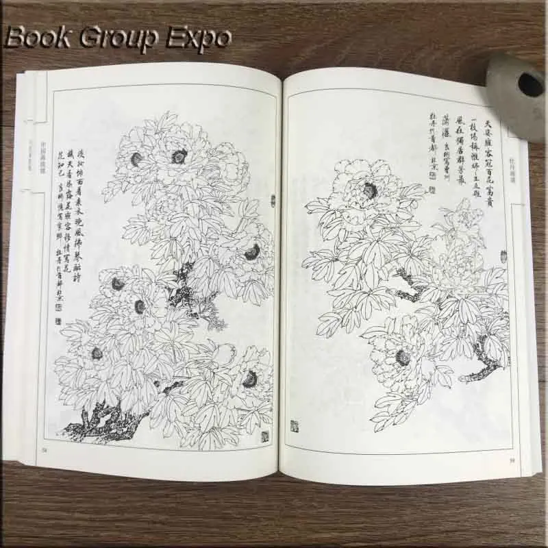 Сто фотографий цветка пион Традиционный китайский Баи миао Гонг Би рисование линий книги искусства