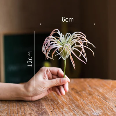 Bulbosa хлопок конфеты Детские Осьминог Искусственные Поддельные airplant тилландсия Capitata Steptophylla usneoid как настоящие растения суккулент - Цвет: No.9