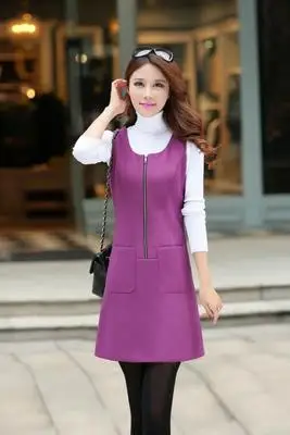 AKSLXDMMD, новое весеннее шерстяное женское платье, платье без рукавов с птицами, приталенное базовое офисное платье, большие размеры, Vestidos LH524 - Цвет: purple solid 007