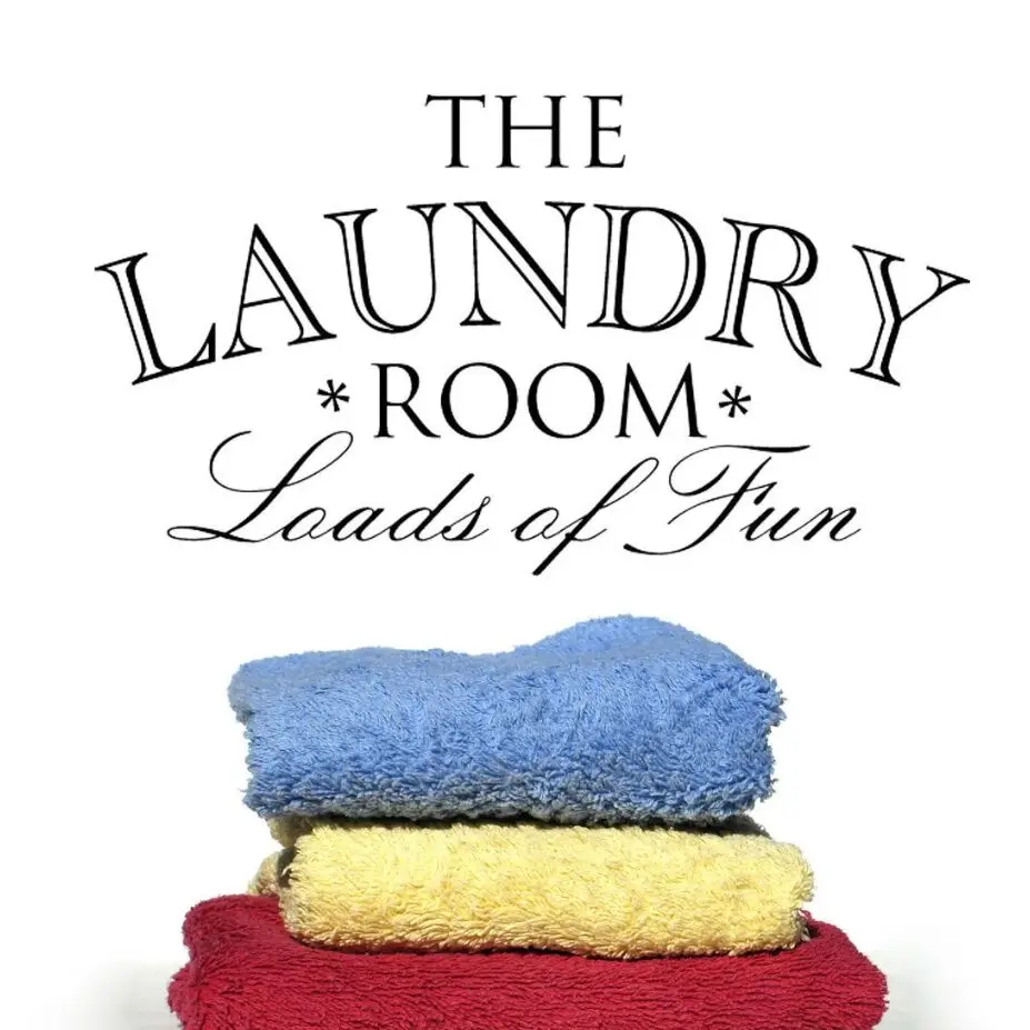 Laundry Room Vinyl Wall Decal Laundry Room Decor Loads of Fun Quote