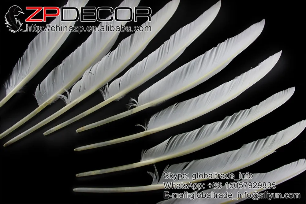 duck pointer primary wing feathers white dyed (10)