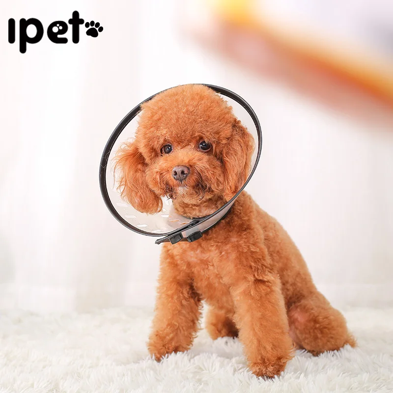 HOOPET Pet Dog Cat Elizabethan Collars Wound Healing Remedy Recovery