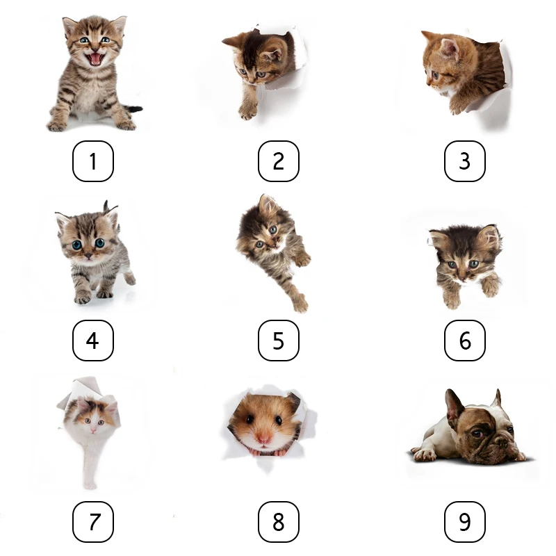 267554_no-logo_267554-1-02