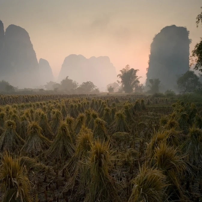 Bundles In Mountain Area; Yangshuo  China Poster Print (20 x 13)
