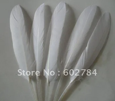 

Wholesale 200PCS goose feathers white 6-8" 10-15cm geese feathers duck feathers staight for Free Shipping