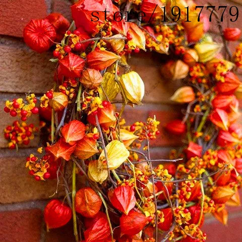 

Heirloom 100 Chinese Lanterns Cherry Bonsai Frutas Husk tomato Orange red Gooseberries Nutritious Berry Fruit Garden Planting