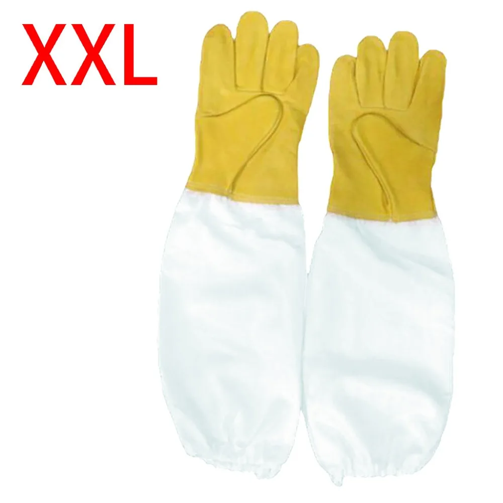 XYO90511006_0633504184897785970