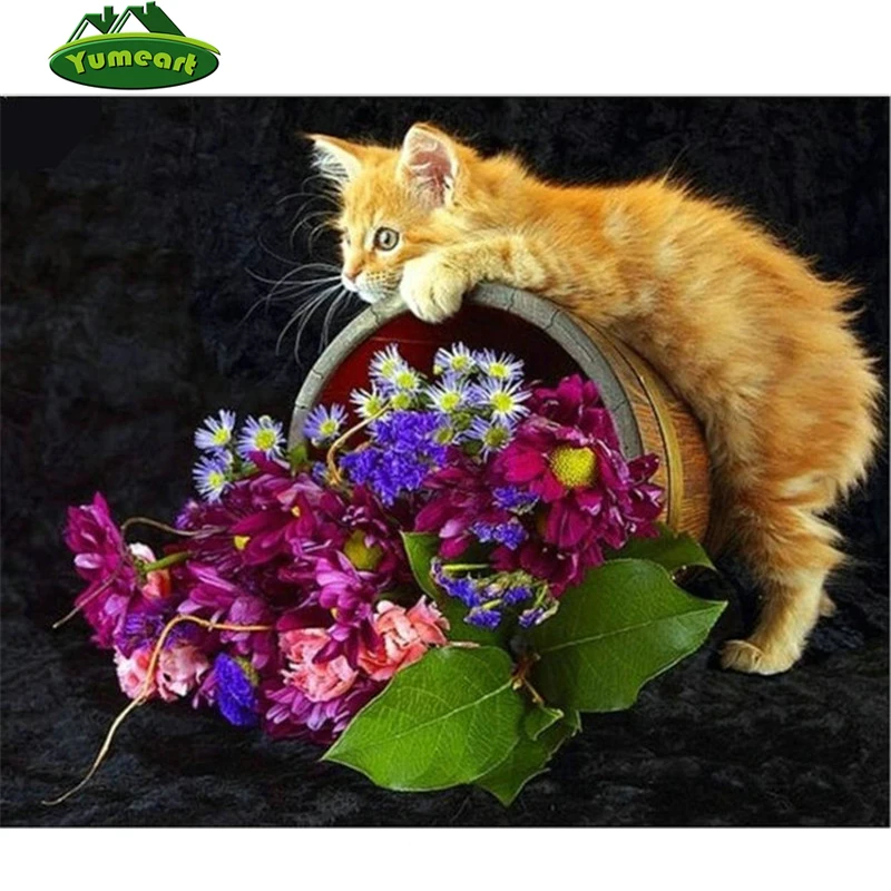 Кошка С Днем Рождения Фото