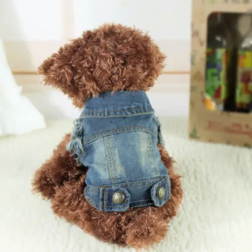

Small Pet Dog Cat Jean Denim Outwear Costume Apparel Puppy Dog Clothes Winter Jeans Hooded Jacket Coat