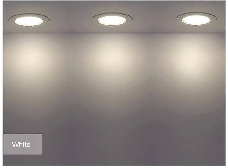 IP65 LED Downlight-15