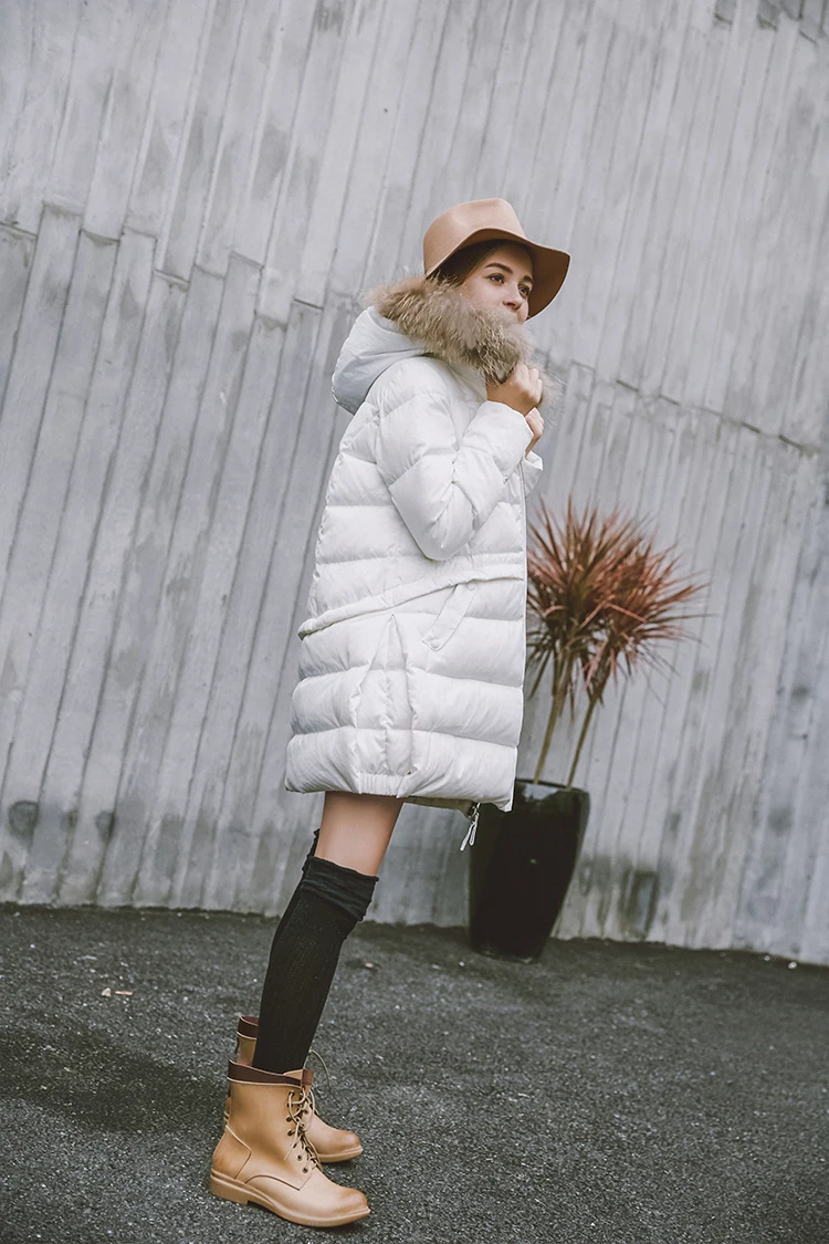 ZK11669D+GD10067Q (3)