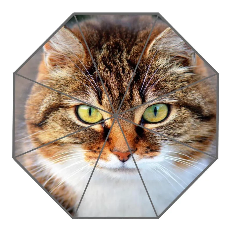 

New Arrive Custom cat animal pet Umbrellas Creative Design High Quality Foldable Rain Umbrella