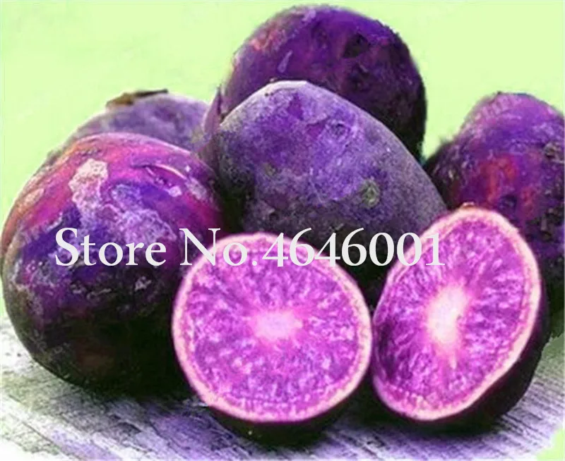 

Chinese 100 pcs Giant Purple Potato plants Perennial Bonsai Tree Anti-wrinkle Vegetable plants For Home Garden Plants Flowers