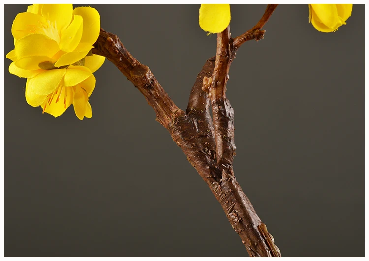 31 Wintersweet Product Detail