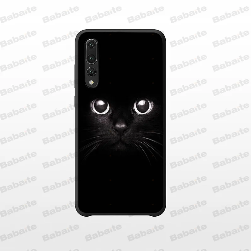 Black Cat Staring Eye