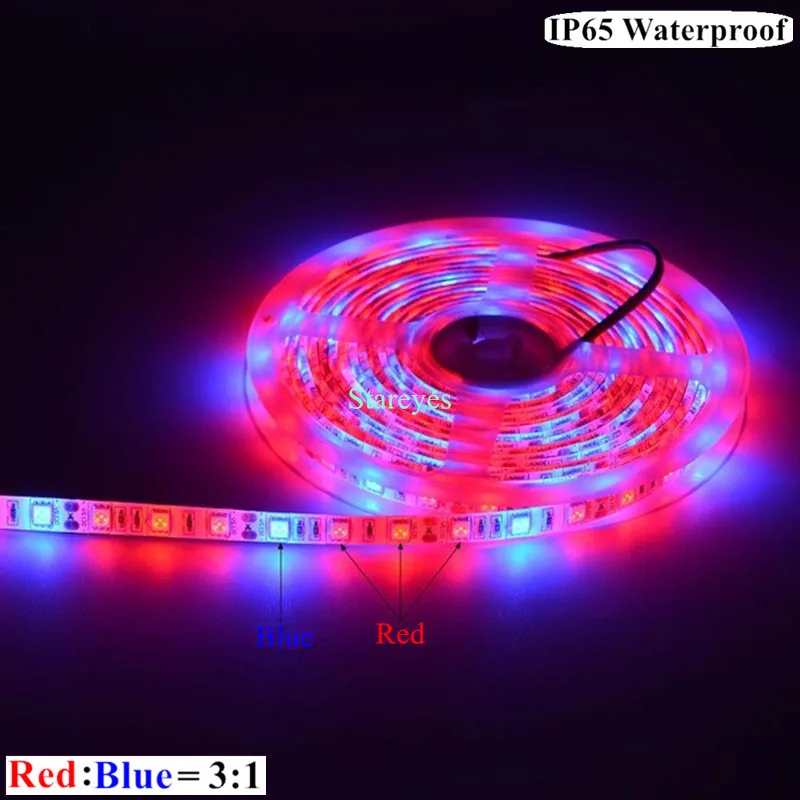 SMD 5050 300 светодио дный 5 м Светодиодные ленты завод Свет светодио дный Фито лампы полного спектра светодио дный Fitolampy светать для парниковых гидропоники завод - Испускаемый цвет: 3 Red 1 Blue IP65