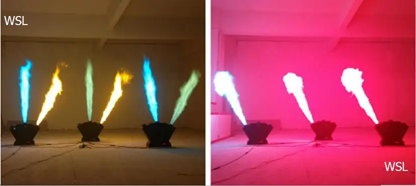 3 (6)
