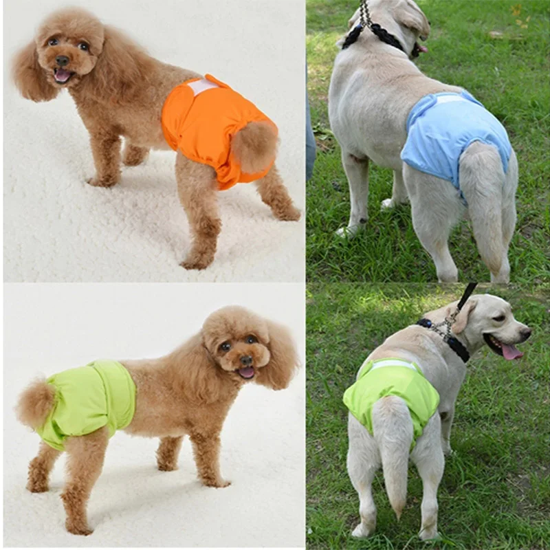 dog reusable nappies