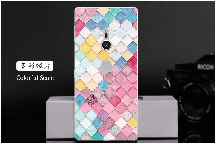  Colorful Scale