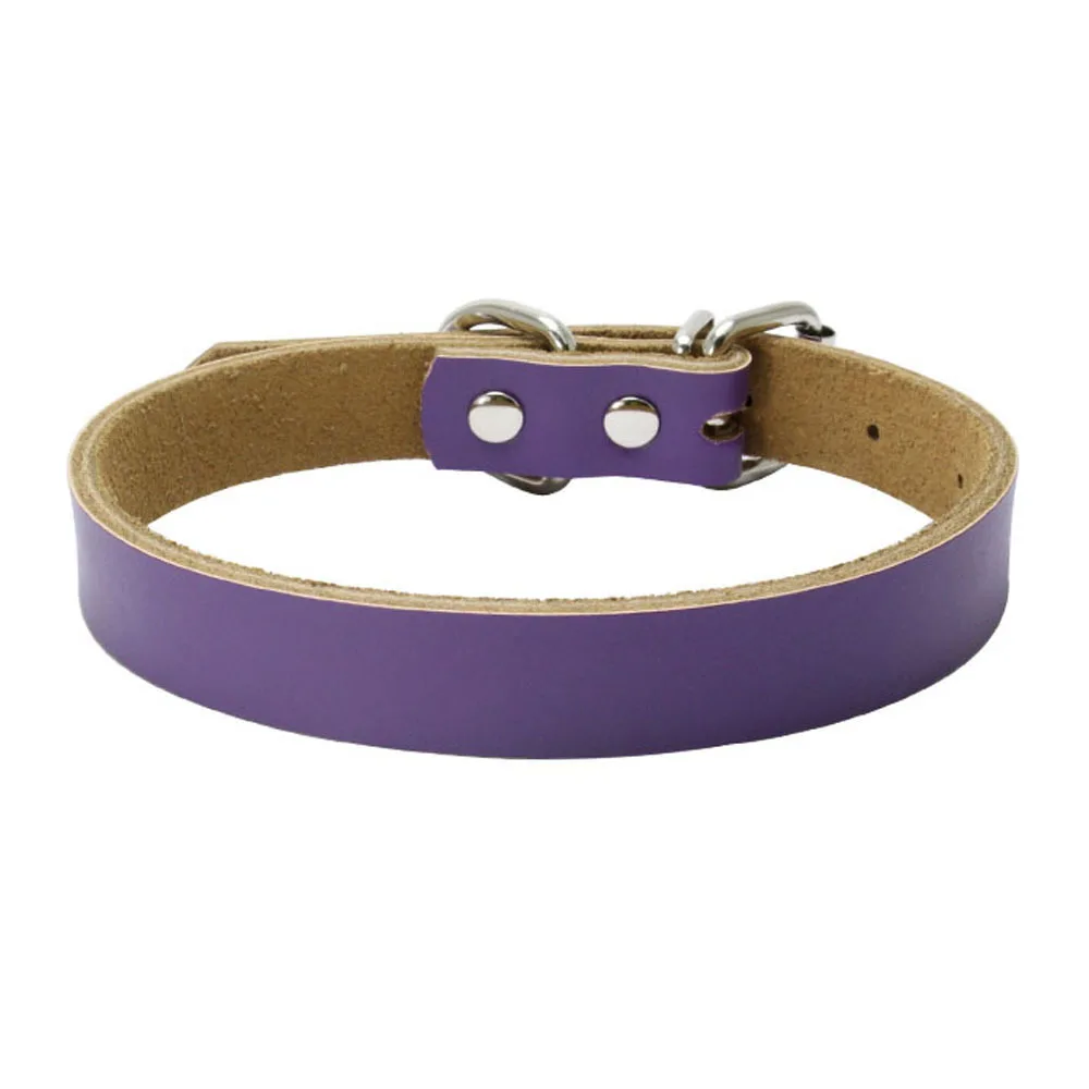 pet collar