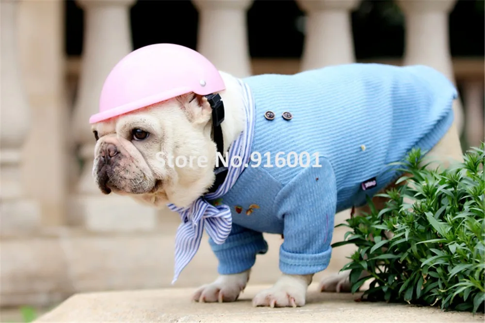 pet dog helmet (3)
