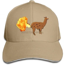 Sfspo Pp сэндвич кепки водителя грузовика бейсбольные ковбойские шляпы ламы пламенный огонь унисекс