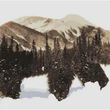 Лидер продаж большой бурый медведь с DIP живопись по количеству ручной картина маслом Домашний Декор