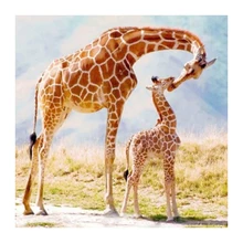 5d на заказ Алмазная картина жираф вышивка крестиком Рождество Санта Клаус Снеговик hibah домашний декор diy pintura Алмазная мозаика Круз