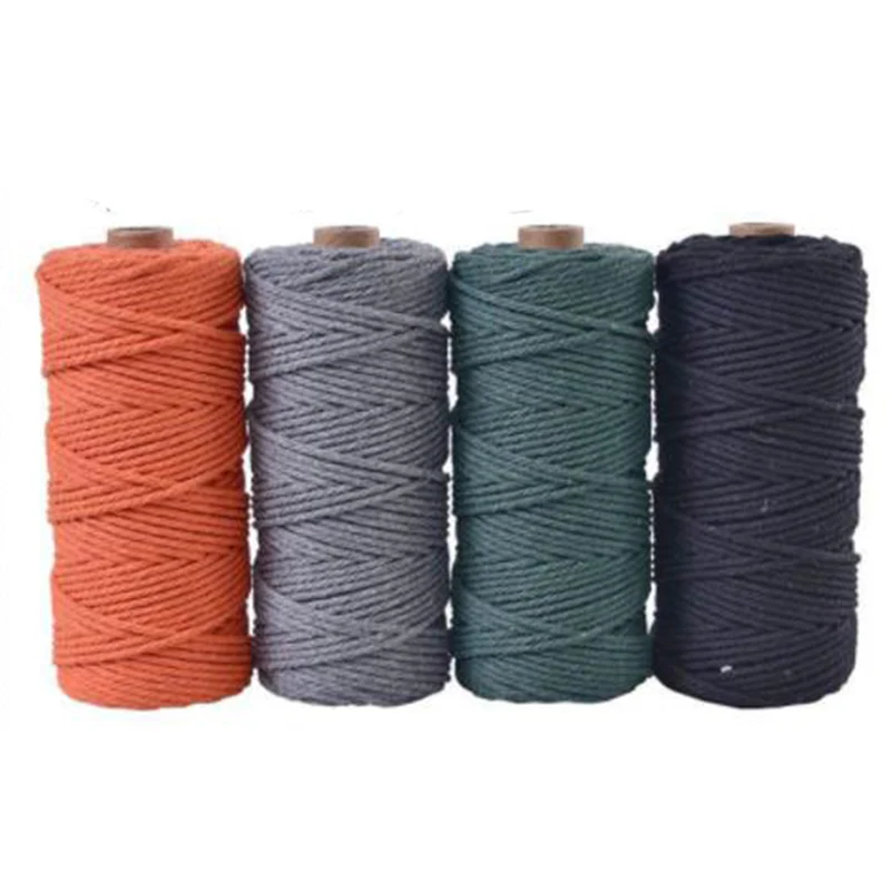 3mm 100M DIY Macrame Twisted Natural Cotton Cord Rope String Artisan Hand Craft