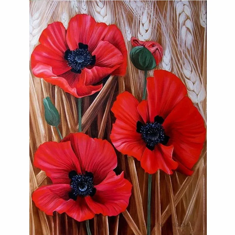 

CHUNXIA Framed DIY Painting By Numbers Red Flower Acrylic Painting Modern Picture Home Decor For Living Room 40x50cm RA3519