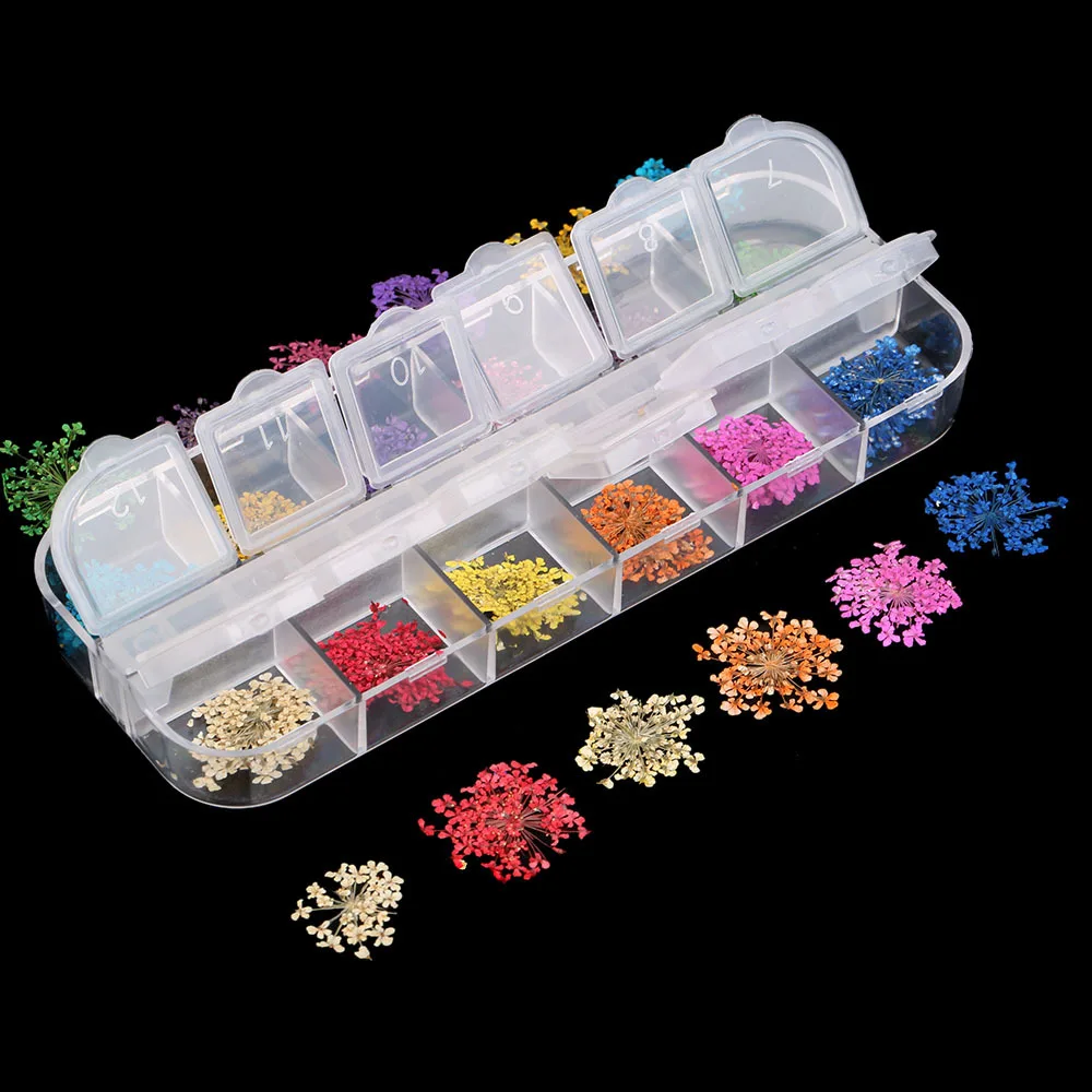 

1Box 24Pcs Real Nail Lace Dried Flowers Nail Art Decoration DIY Tips Small Flowers Nails Stickers For Manicure Tools