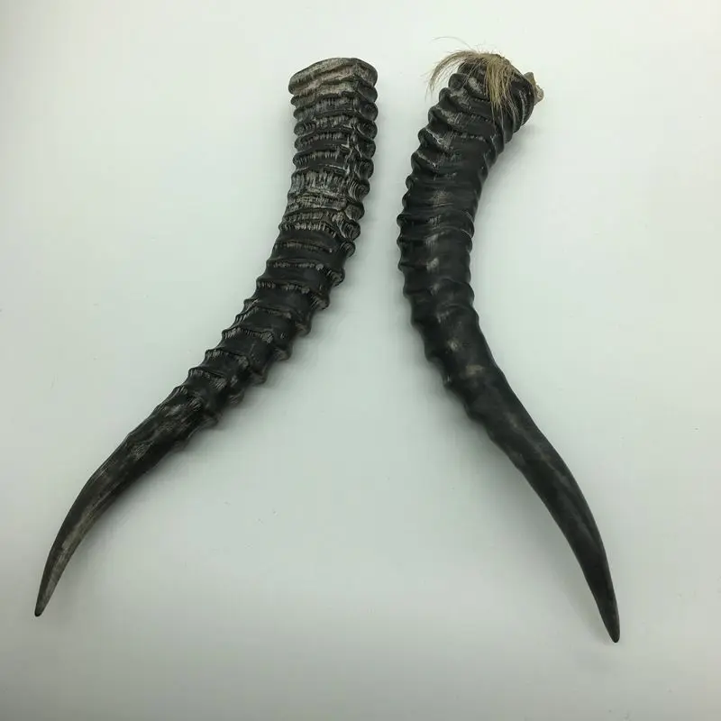 50b