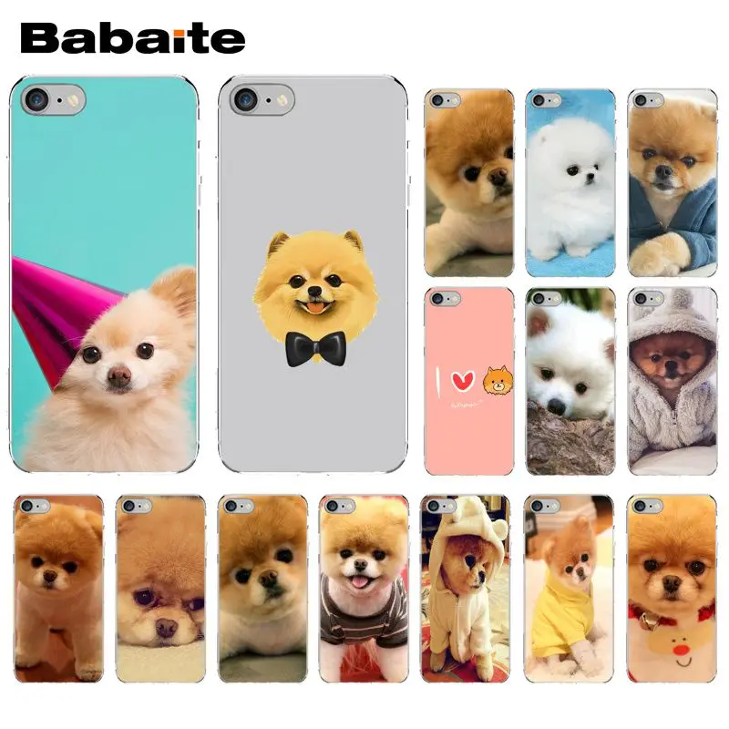 

Babaite Pomeranian dog Customer High Quality Phone Case for Apple iPhone 8 7 6 6S Plus X XS MAX 5 5S SE XR Cellphones