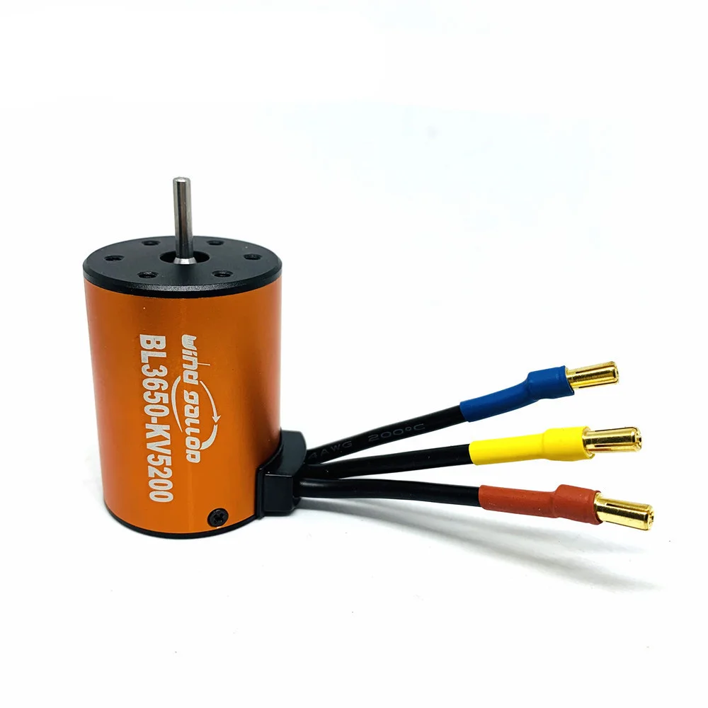 Moteur Brushless BL3650 4 Pôles Haute Performance pour RC 1/10 avec dissipateur thermique et ventilateur optionnel