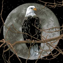 Орел в лунном свете, вышивка крестом, посылка, животное, птица, 18ct, 14ct, 11ct, черная ткань, хлопковая нить, вышивка, сделай сам, ручная работа, рукоделие