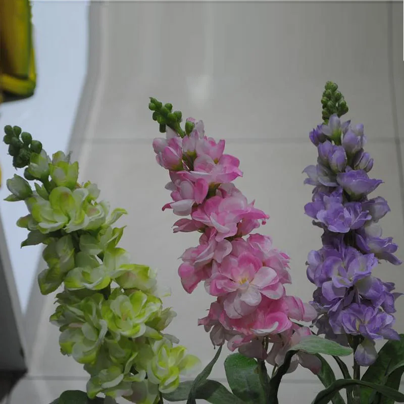 

Mixed Color Violet (Red Green Purple) Garden Plants Matthiola Incana Flowers Annual Herb 100 Particles / lot