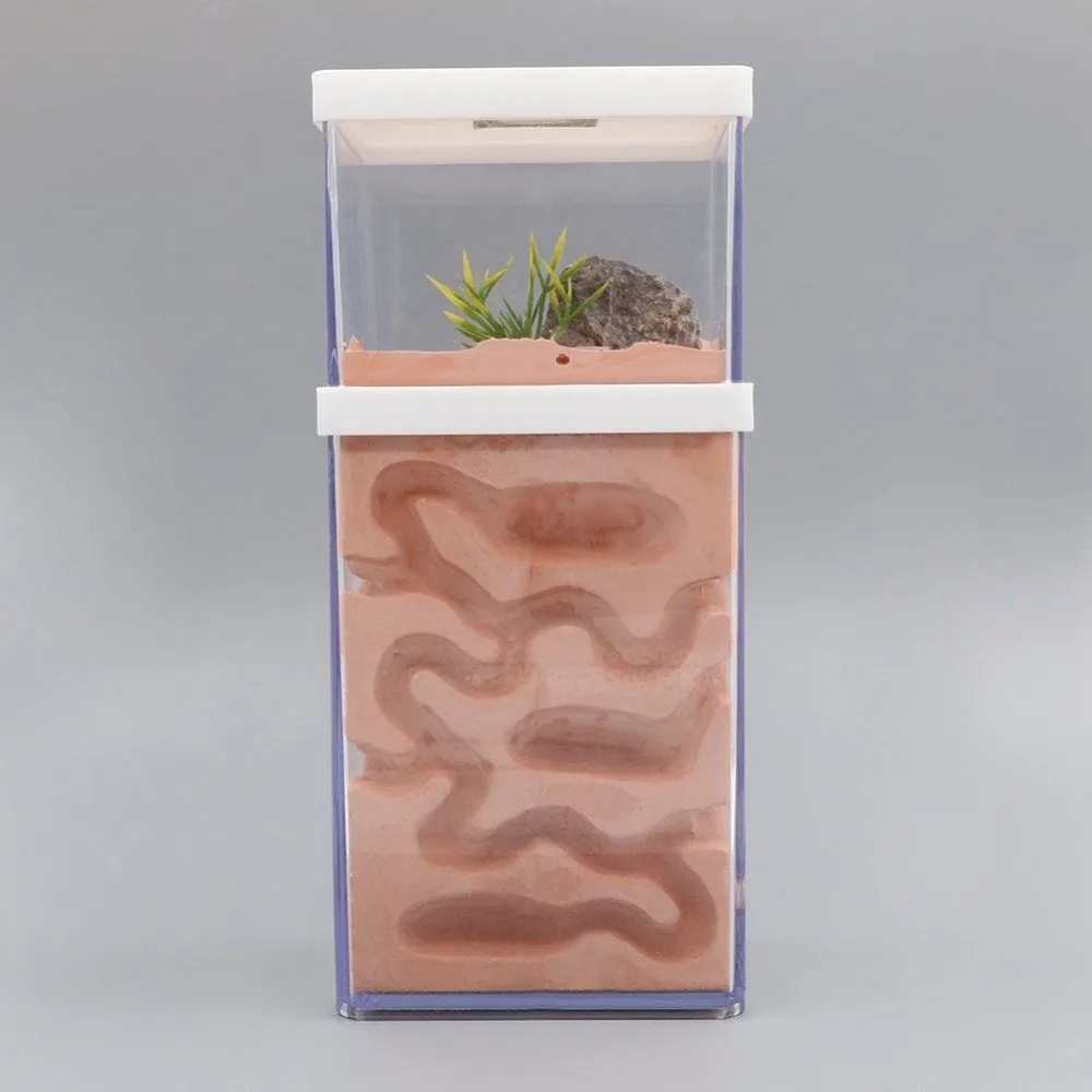 Ant Farm Ant Nest Box Landscaping Housing Farm Ants for Ant Colony