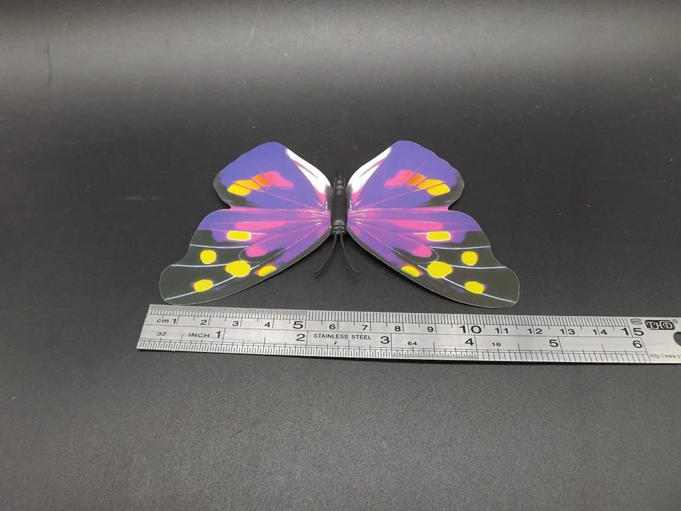 I193-Butterfly (8)