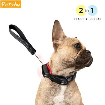 

Petshy 2 in 1 Pet Cat Dog Collars with Retractable Dog Leash Nylon Reflective Puppy Cat Automatic Telescopic Rope for Dogs Cats
